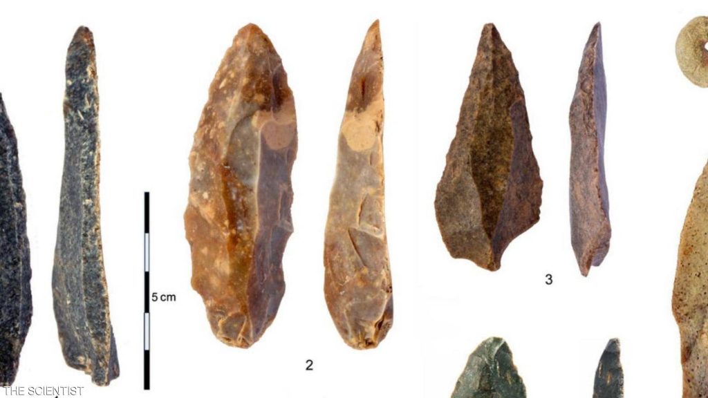 The effects of the first human