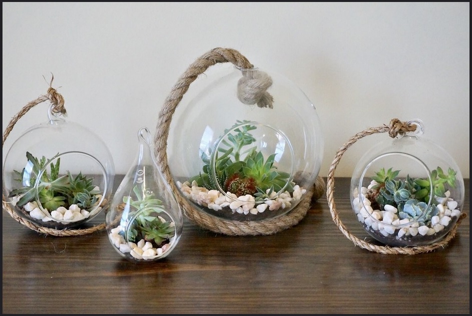 Bring in Nature