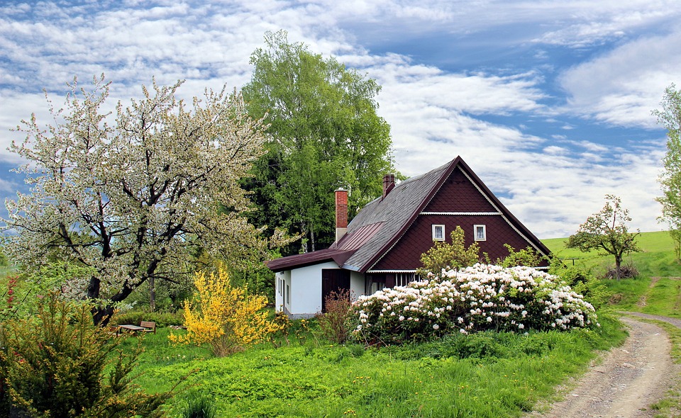 beautifully landscaped garden