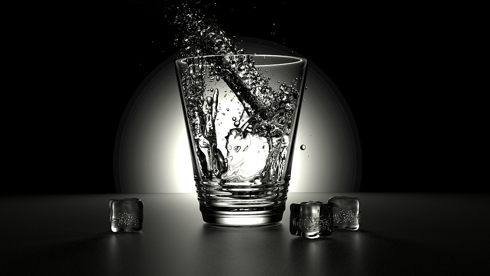 liquidizer